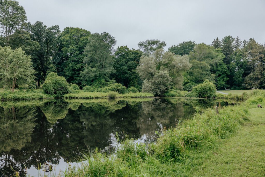 Lush greenery surrounding the pond at Bird Park in Walpole, Massachusetts in the summer.