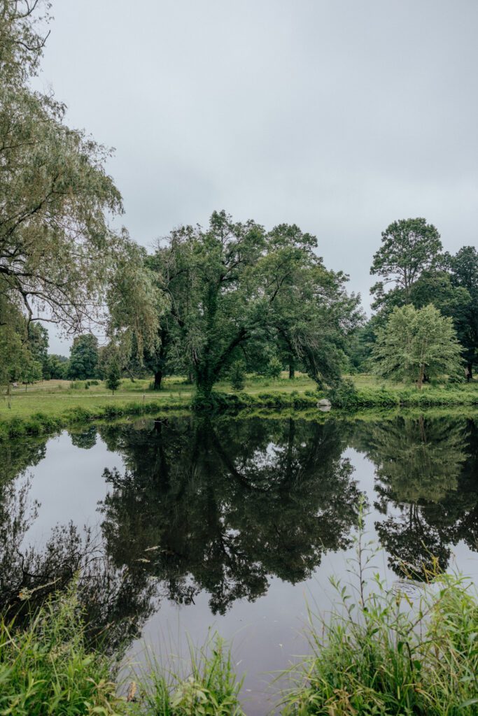 The pond at Bird Park in Walpole, Massachusetts in the summer.